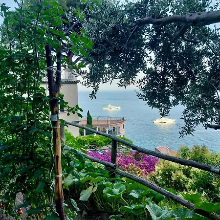 Sea View House With Lemon Grove In Atrani Semesterbostad